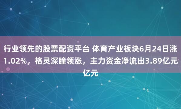 行业领先的股票配资平台 体育产业板块6月24日涨1.02%，格灵深瞳领涨，主力资金净流出3.89亿元